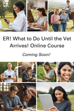 ER! Emergency Online Course coming soon