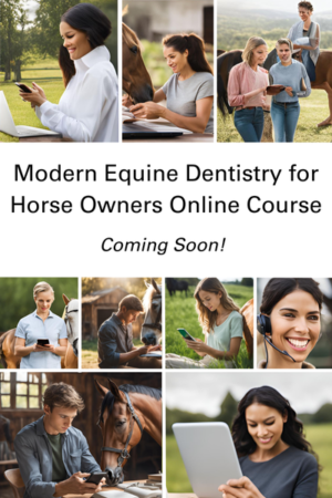 Modern Eq Dent for horse owners online course