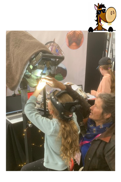 Young horse enthusiast looking with a light and speculum into the mouth of a horse skull to learn about equine dentistry.