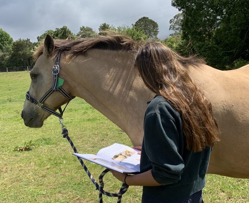 girl reading Modern Equine Dentistry at her horse.